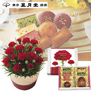 [承り終了いたしました]【母の日】〈東京風月堂〉お菓子の美術館8個入(母の日掛け紙仕様)&花鉢セット
