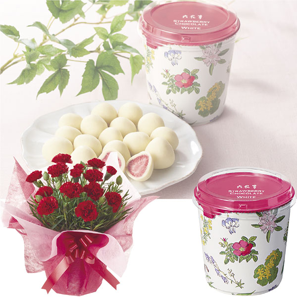 [承り終了いたしました]【母の日】〈六花亭〉ストロベリーチョコレート&カーネーション花鉢セット