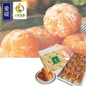 <小林果園>むきみきゃんギフトセット