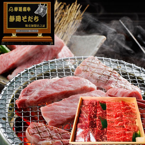 静岡県・特選和牛静岡そだち焼肉 モモ・バラ ５００ｇ【全国グルメお取り寄せ便】