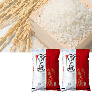 雪蔵仕込み　新潟県産新之助4kg≪10月下旬～お届け開始≫