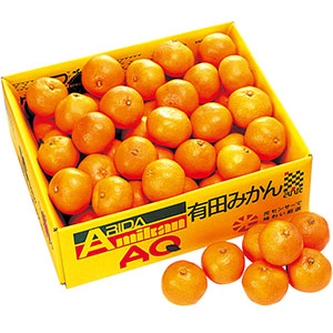 和歌山県産 有田みかん