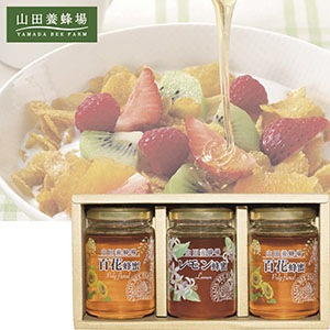 ＜山田養蜂場＞世界の蜂蜜３本セット