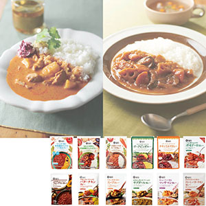 ＜みなさまのお墨付き＞世界を味わうカレー 定番セット（12点入）