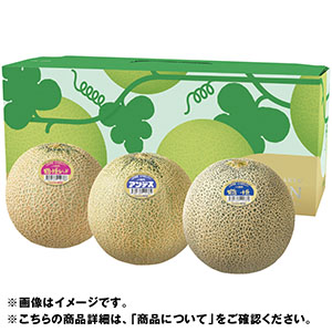 山形県産 庄内メロン詰合せ