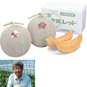 北海道産 日原さんグループの新夕張レッドメロン