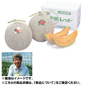 北海道産 日原さんグループの新夕張レッドメロン