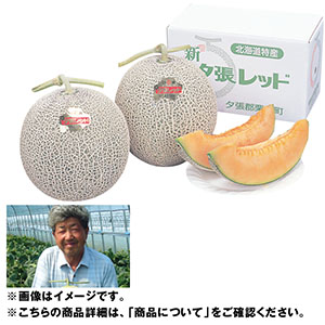 北海道産 日原さんグループの新夕張レッドメロン キング＆クィーン