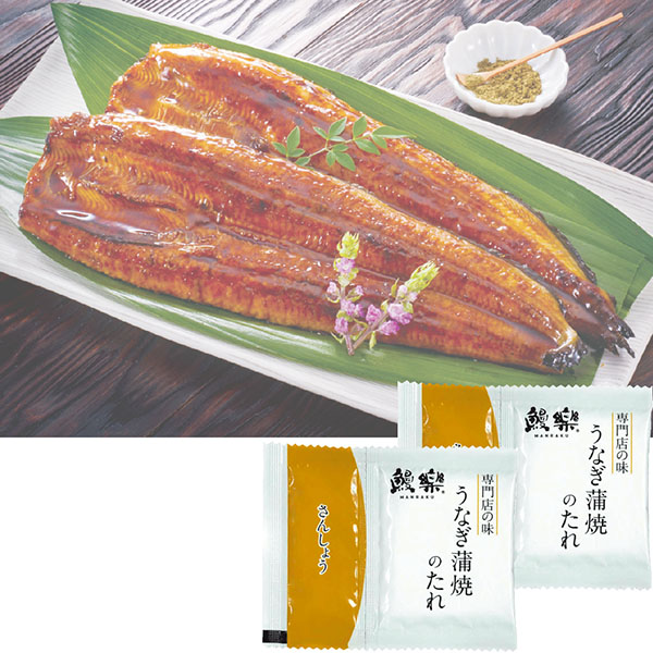 ＜鰻楽＞うなぎ長焼（九州産）[yd80]