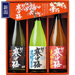 ＜新潟銘醸＞越の寒中梅 味わいセット