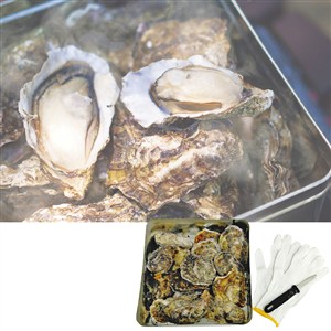 広島牡蠣のカンカン焼き