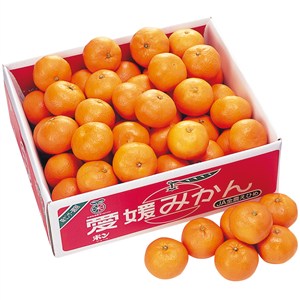 愛媛県産 宇和島みかん「味楽の赤箱」[yd70]