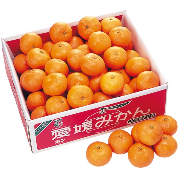 愛媛県産 宇和島みかん「味楽の赤箱」[yd70]