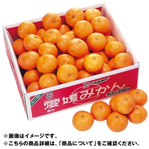 愛媛県産 宇和島みかん「味楽の赤箱」