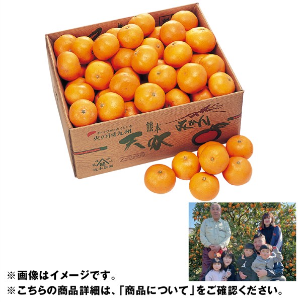 熊本県産 特別栽培坂本さんの天水みかん