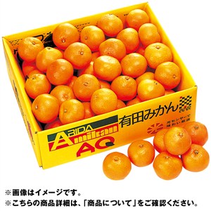 和歌山県産 有田みかん