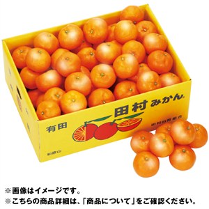 和歌山県産 田村みかん
