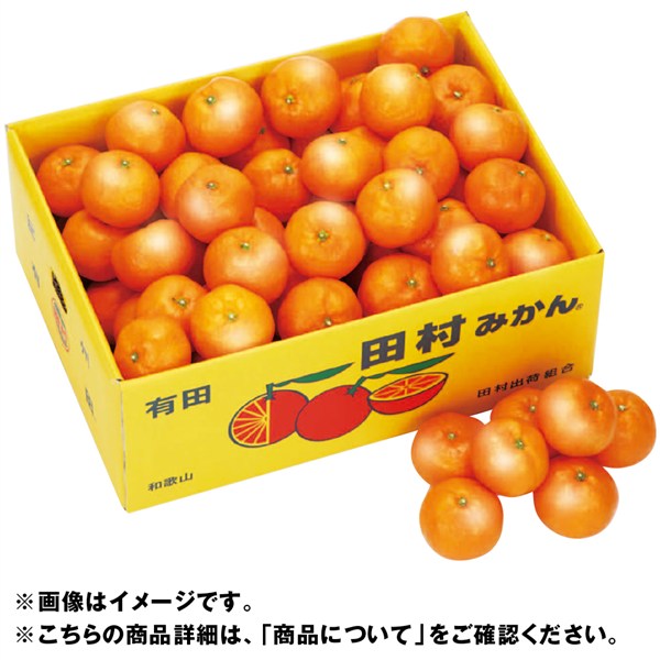 和歌山県産 田村みかん