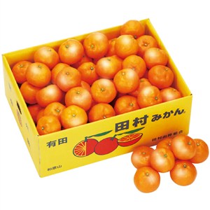 和歌山県産 田村みかん