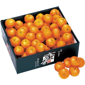 愛媛県産　蜜るみかん