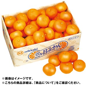 静岡県産　三ケ日みかん