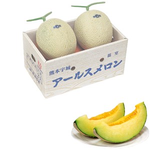 熊本県産 アールスメロン