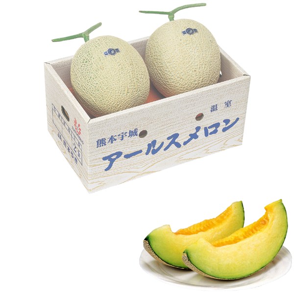 熊本県産 アールスメロン