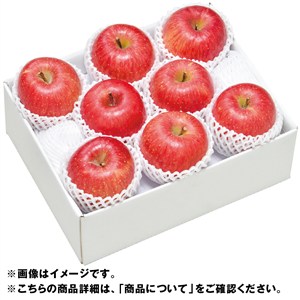 長野県産　ふじ