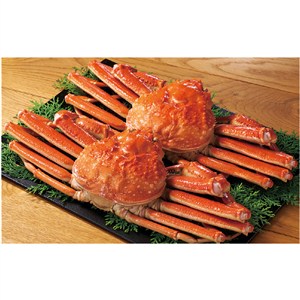 ＜北海道海産＞カナダ産　茹でずわいがに姿