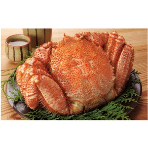 北海道産 ゆで毛がに