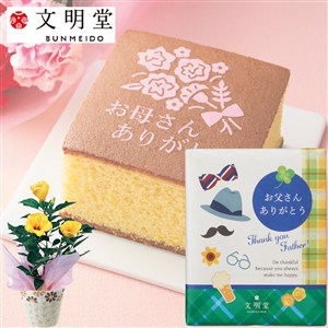 【父の日】〈文明堂東京〉父の日カステラ&花鉢セット