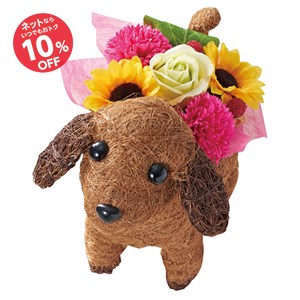 【母の日】光触媒エコフラワードギーフレグランス