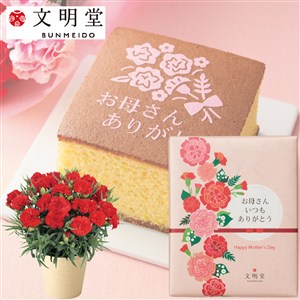 【母の日】〈文明堂東京〉母の日カステラ&花鉢セット