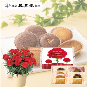【母の日】〈東京凬月堂〉お菓子の美術館7個入(母の日掛け紙仕様)&花鉢セット