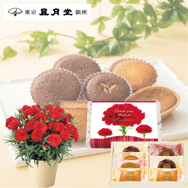 【母の日】〈東京凬月堂〉お菓子の美術館7個入(母の日掛け紙仕様)&花鉢セット