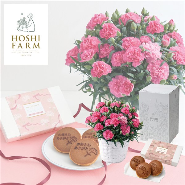 【母の日】〈ホシファーム〉カーネーション&徳島なると金時のどら焼き