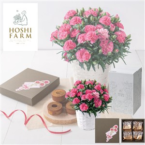 【母の日】〈ホシファーム〉カーネーション&焦がしキャラメルがしみ込んだバーム4個