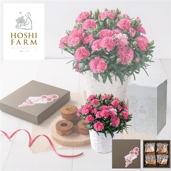 【母の日】〈ホシファーム〉カーネーション&焦がしキャラメルがしみ込んだバーム4個