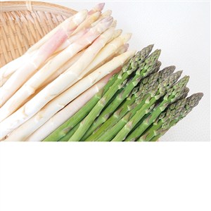 【父の日】北海道産アスパラガスセット