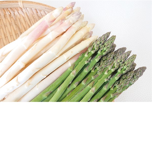 【父の日】北海道産アスパラガスセット