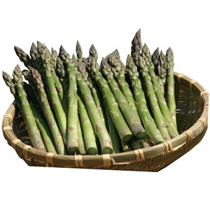 【父の日】北海道・名寄市産 グリーンアスパラガス