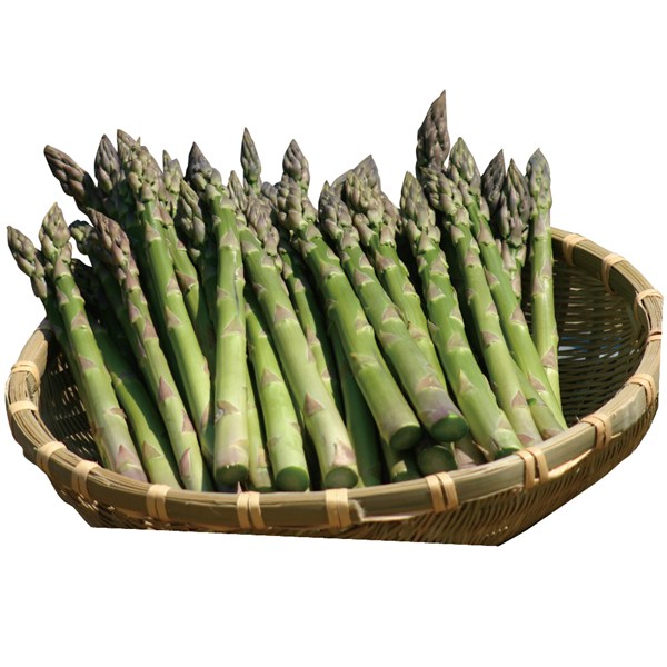 【父の日】北海道・名寄市産 グリーンアスパラガス