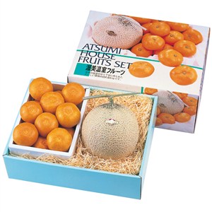 愛知県産　マスクメロン＆ハウスみかん詰合せ