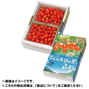山形県産 さくらんぼ（紅秀峰）