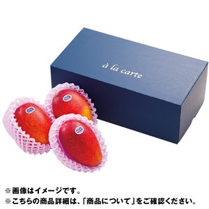 宮崎県産 マンゴー