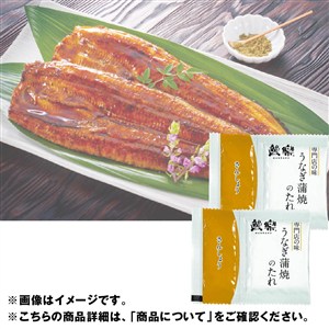 ＜鰻楽＞うなぎ長焼（九州産）