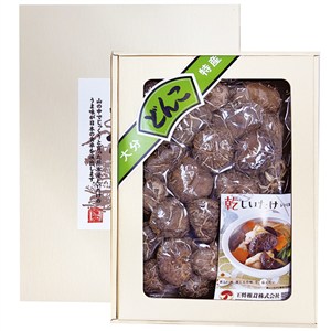 ＜王将椎茸＞大分産　どんこ椎茸
