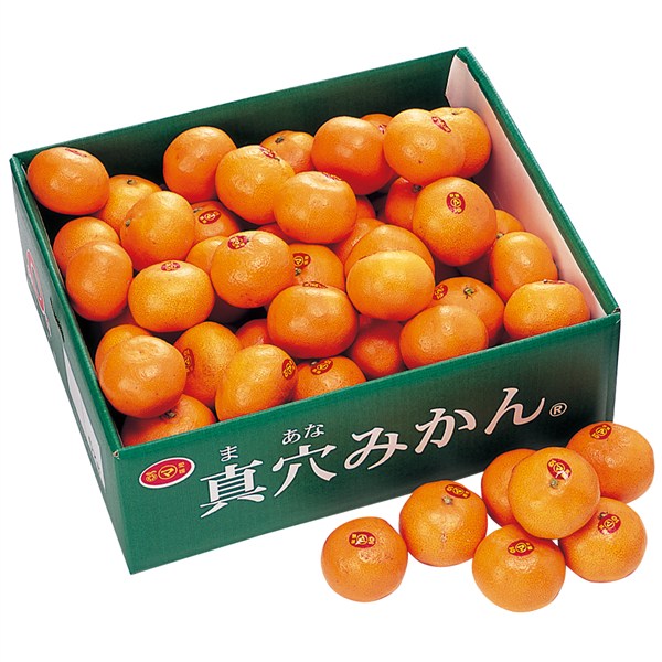 愛媛県産　真穴みかん