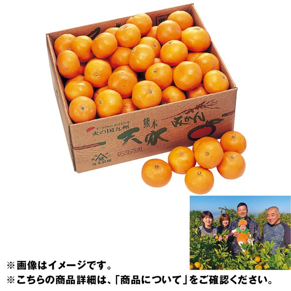 熊本県産 特別栽培坂本さんの天水みかん