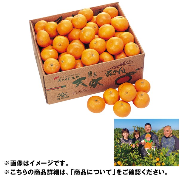 熊本県産 特別栽培坂本さんの天水みかん